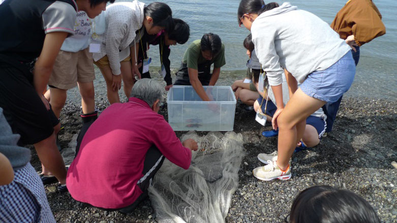 魚採りの様子