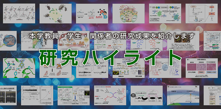 研究ハイライト