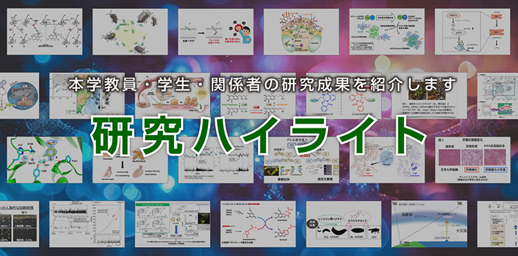 研究ハイライト