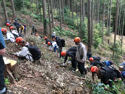 苗の植栽