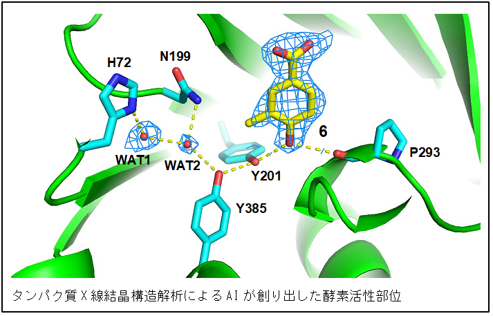 タンパク質X線結晶構造解析によるAIが創り出した酵素活性部位