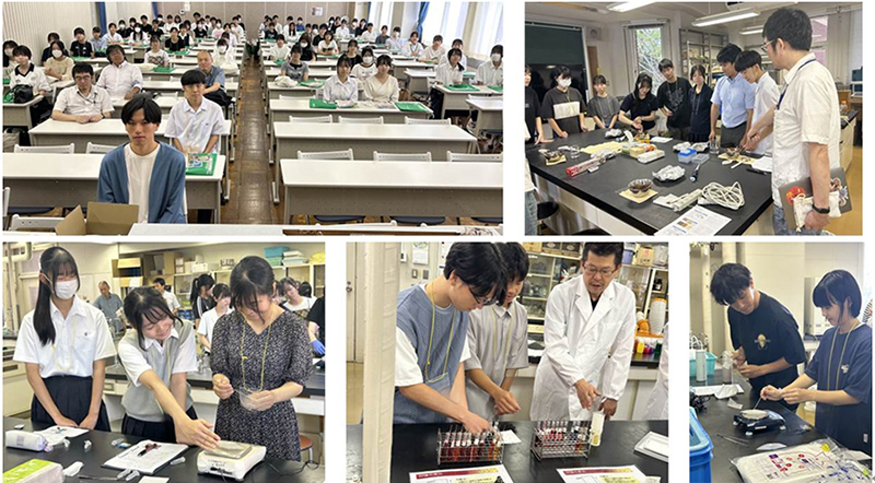 食品サマースクールの様子