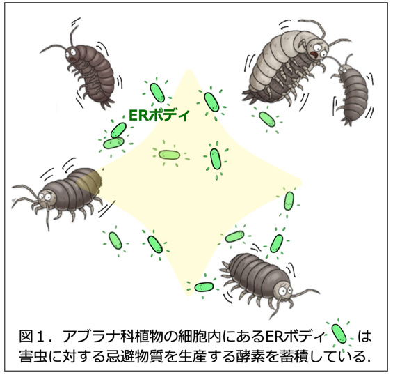 図1