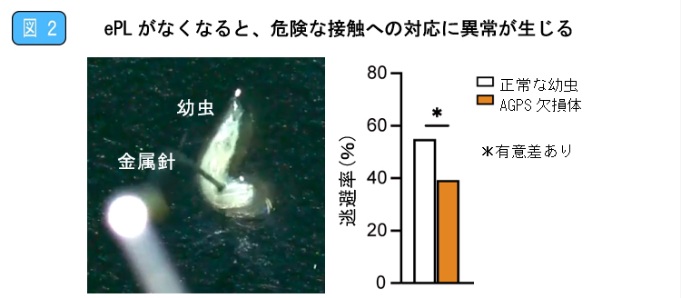 図2 ePLがなくなると、危険な接触への対応に異常が生じる