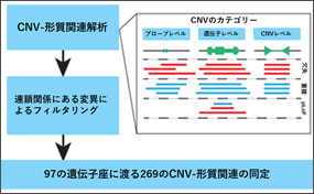 静岡県公立大学法人 静岡県立大学